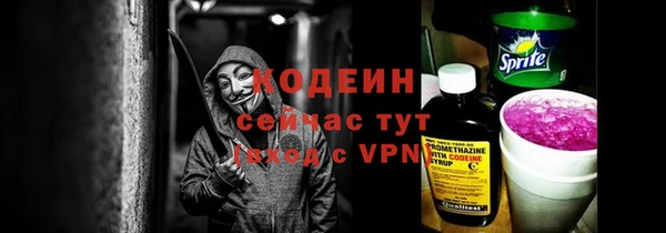 мдпв Костерёво