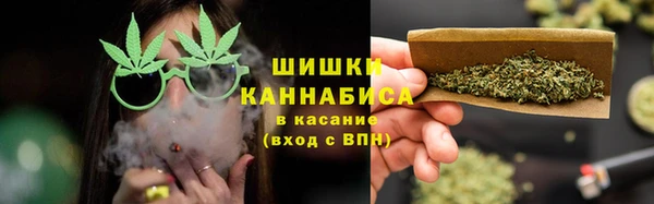 мдпв Костерёво