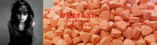 ПСИЛОЦИБИНОВЫЕ ГРИБЫ Корсаков