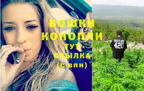 дмт Кинешма